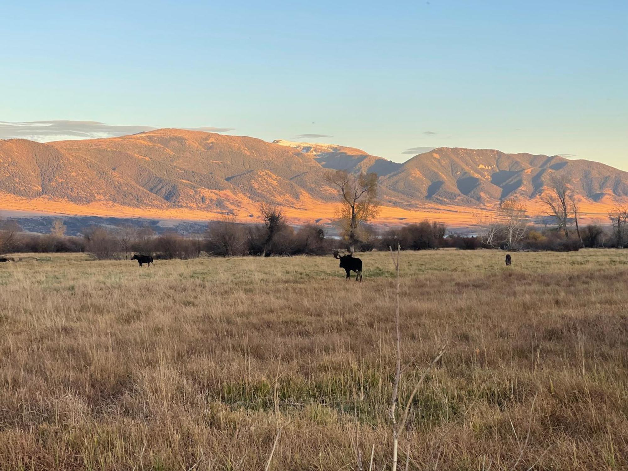 Mountain View Retreat Villa Енис Екстериор снимка